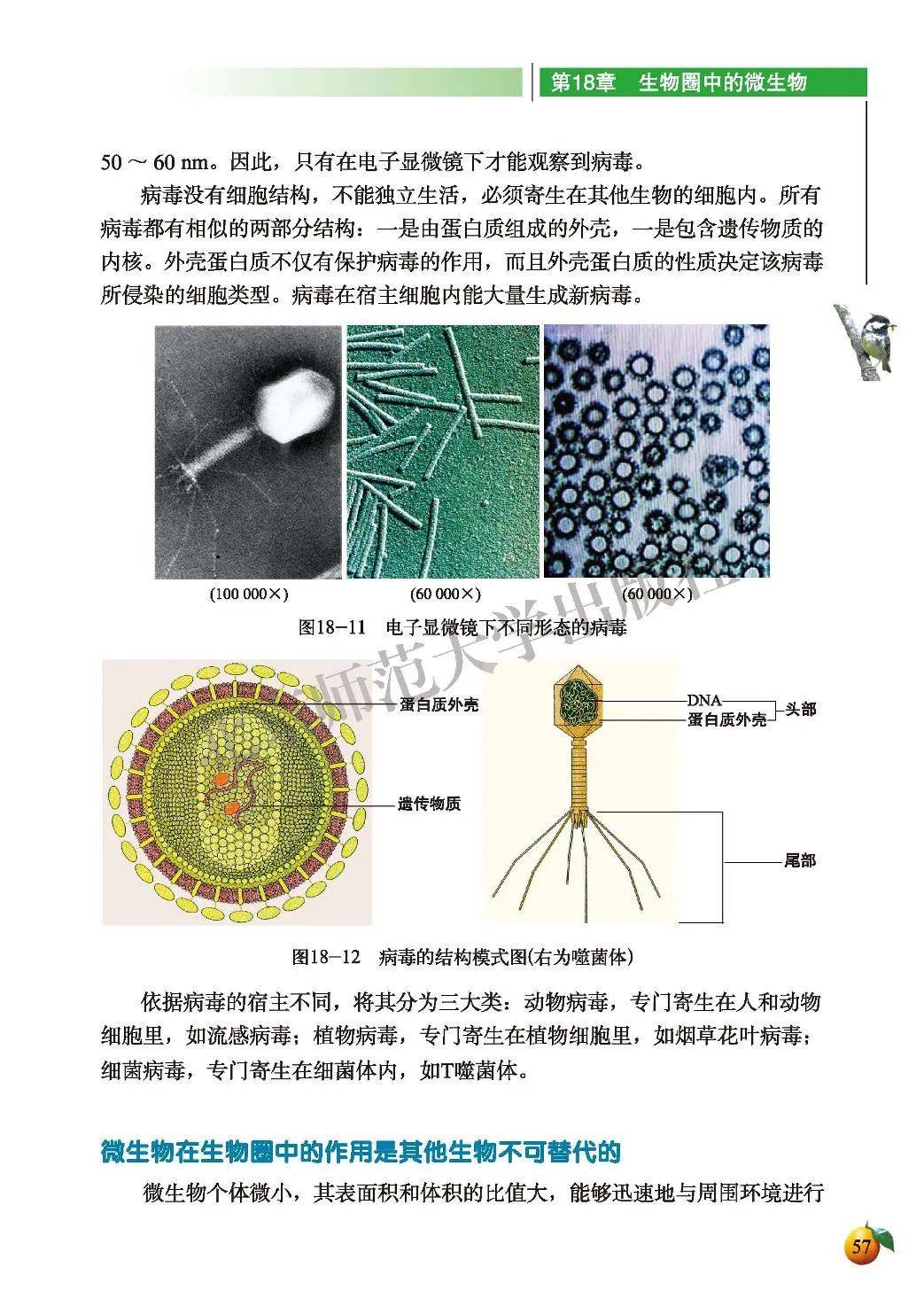 初二生物课本污9页图片