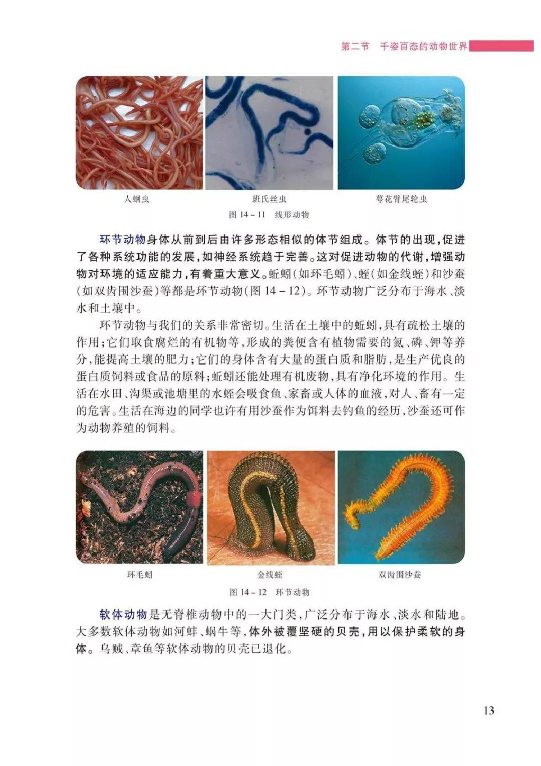 初二生物课本污9页图片