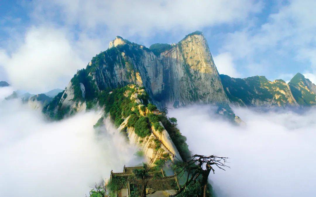 华山之巅,共守绿水青山 —— 环保倡议书