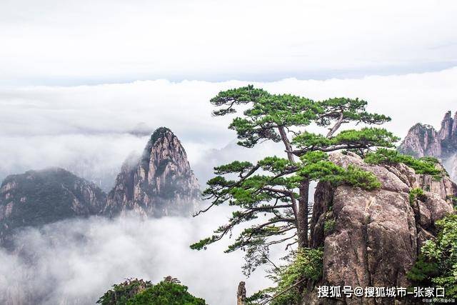 婺源古镇怎么玩？婺源古镇三日自由行旅游攻略-第3张图片-旅游大全网