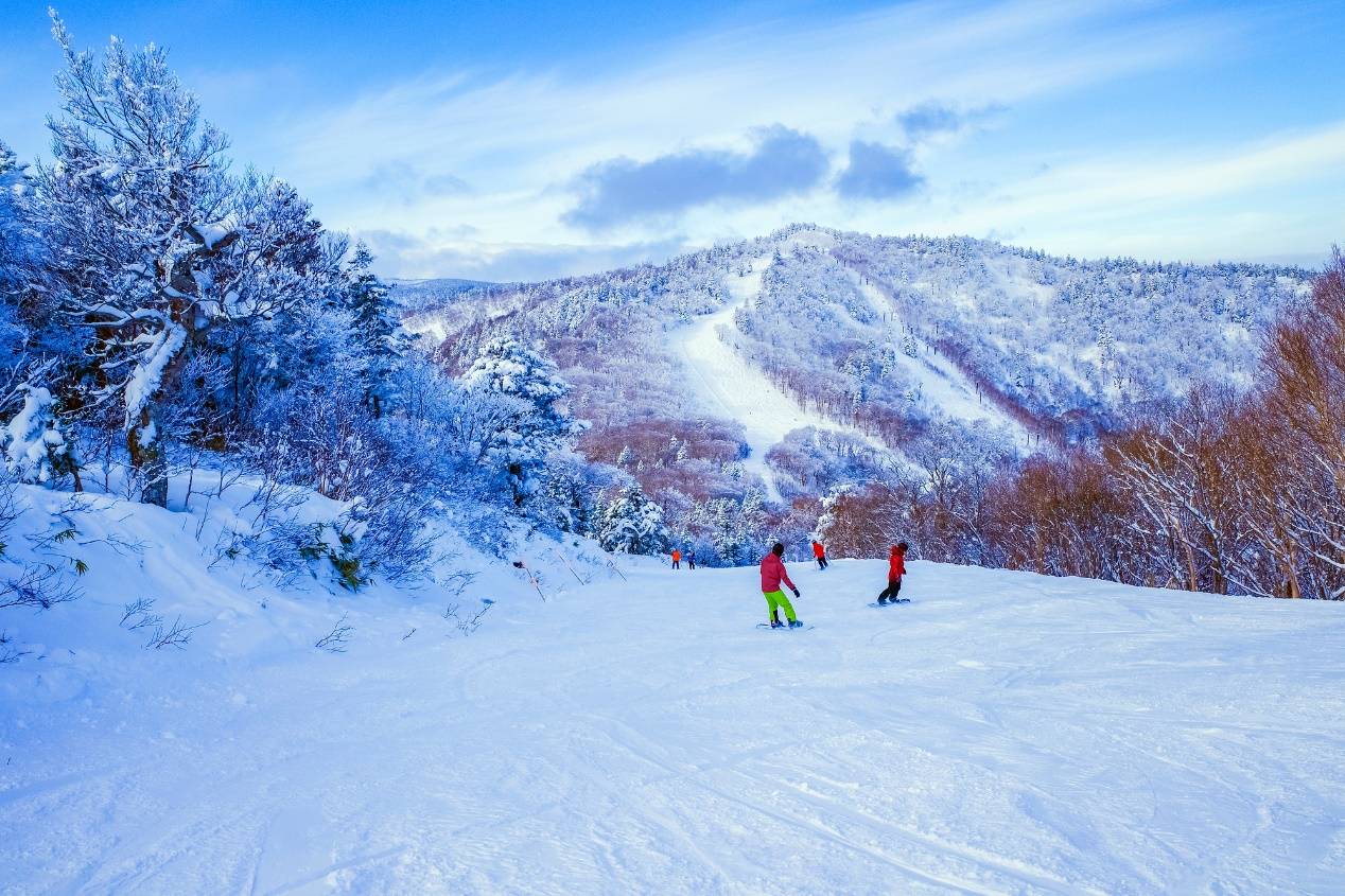 粉雪天堂:探索日本东北的滑雪秘境_高原_安比_温泉度假村