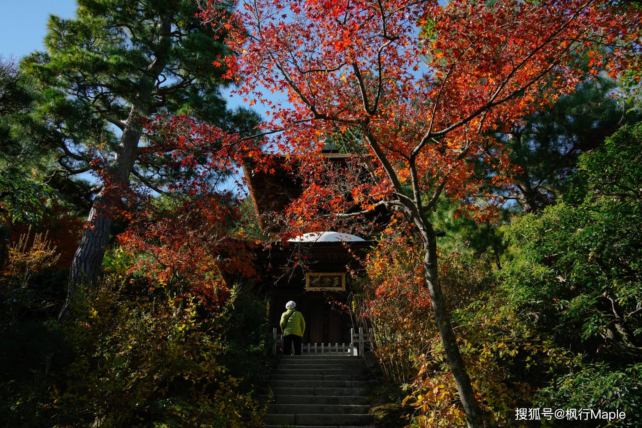 此生,总要在枫叶季去趟岚山吧_竹林_山庄_枫树
