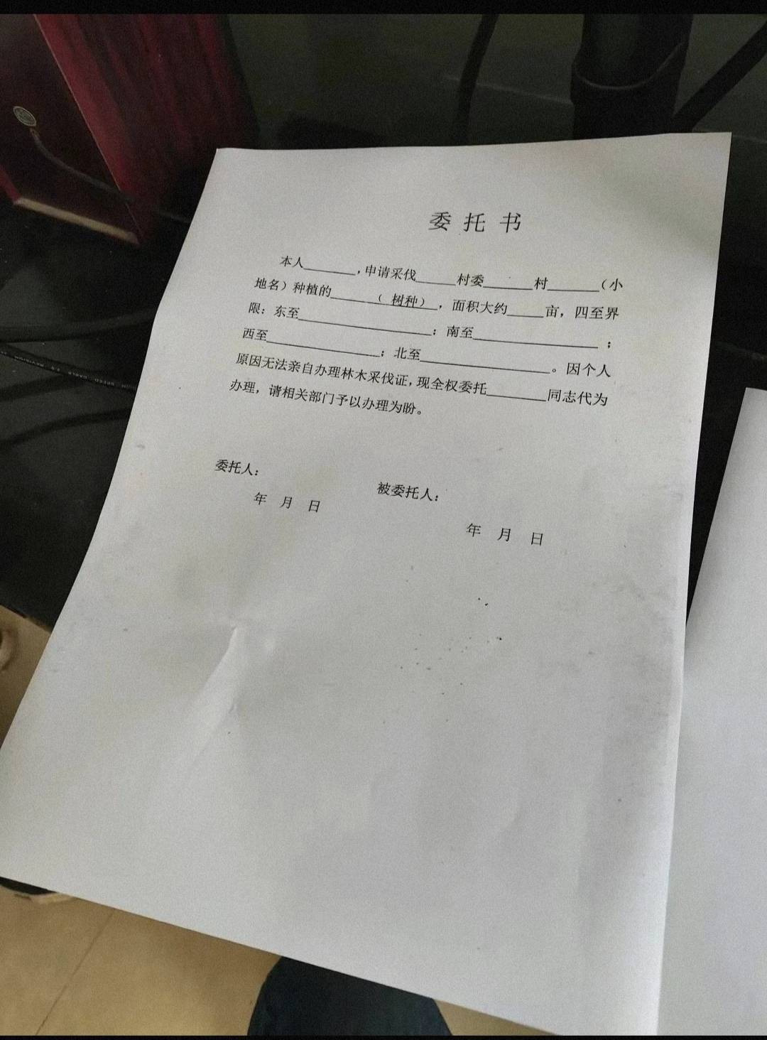 采伐桉树,需要办理《砍伐证》吗?申请的时候需要什么材料?