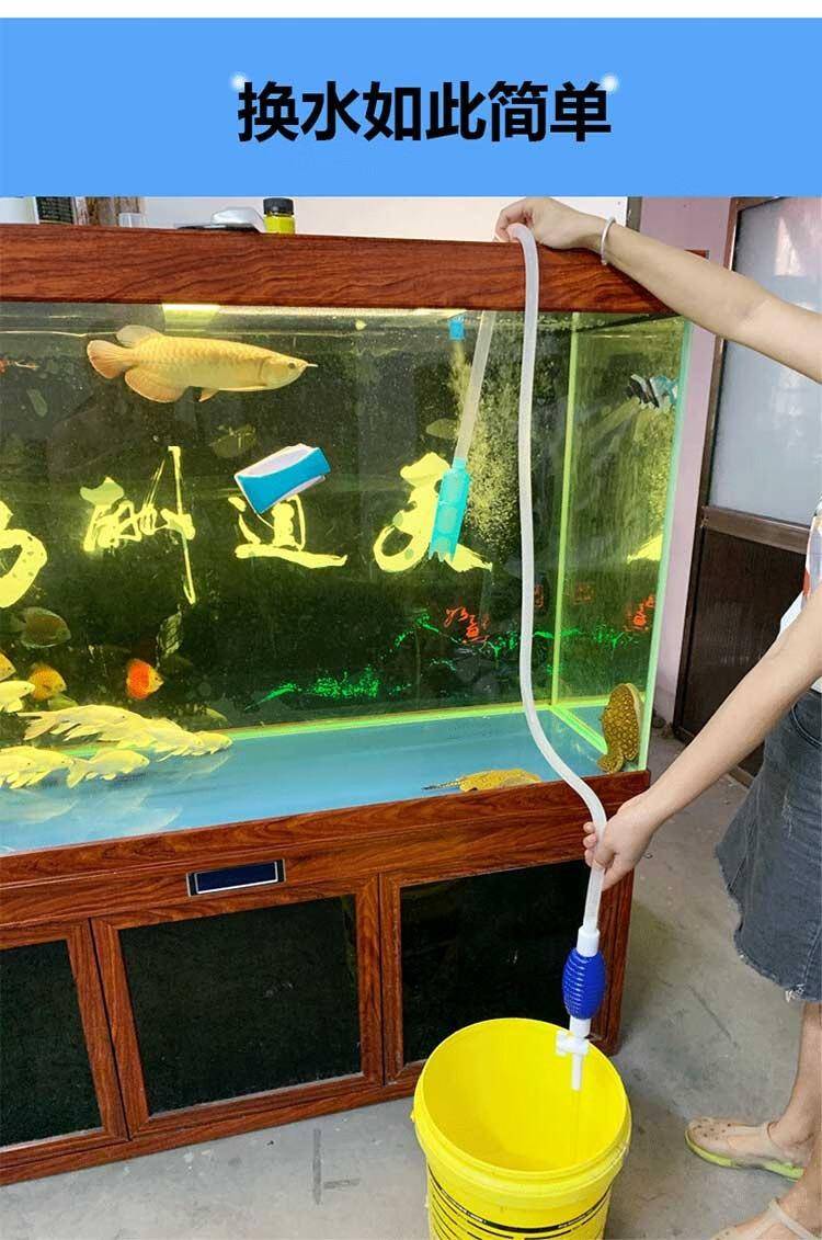 鱼缸里的水,多久换一次比较好?看完长知识了!建议收藏