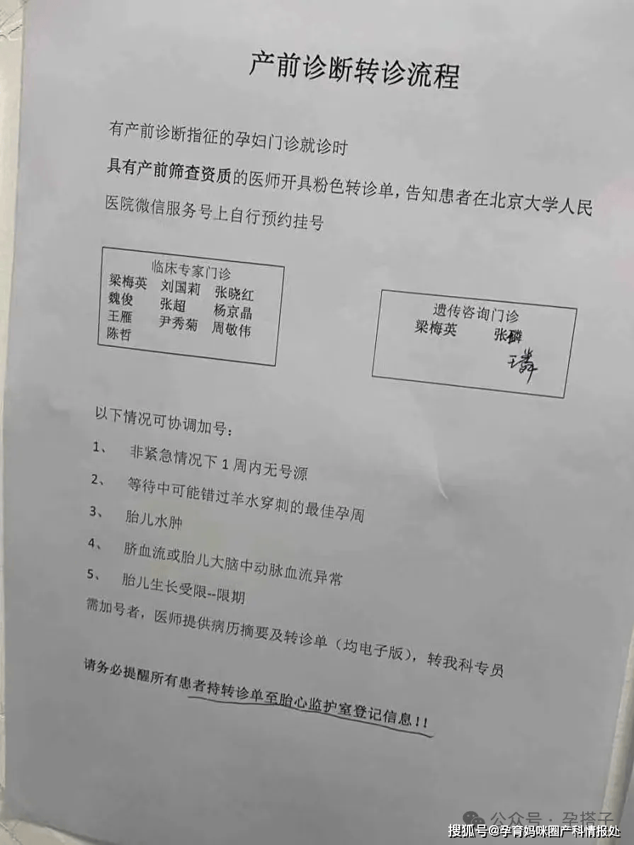 北大人民建档必看