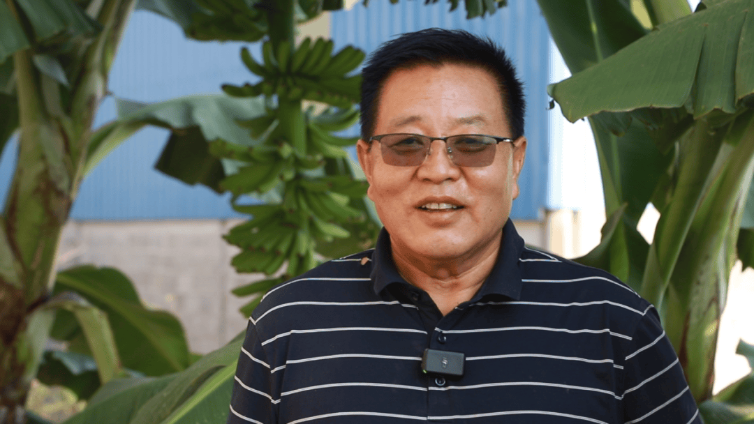 华强化工 强农工程:品质肥料带头人 ——周成