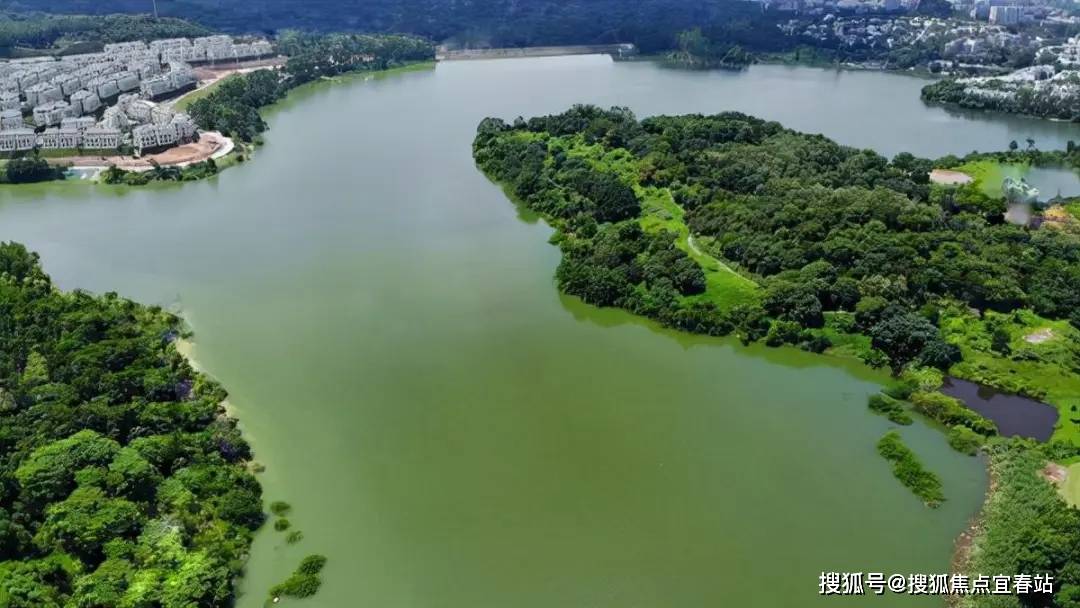 金地香山湖事件图片