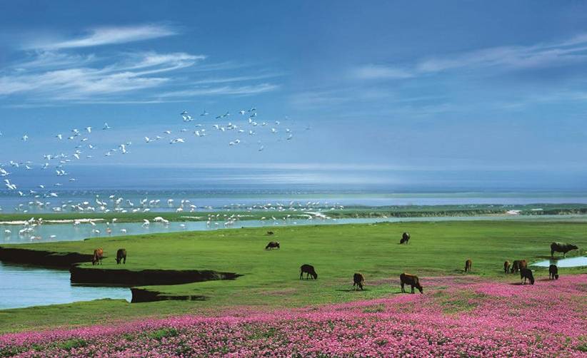 探秘中国五大淡水湖:碧波荡漾下的自然瑰宝