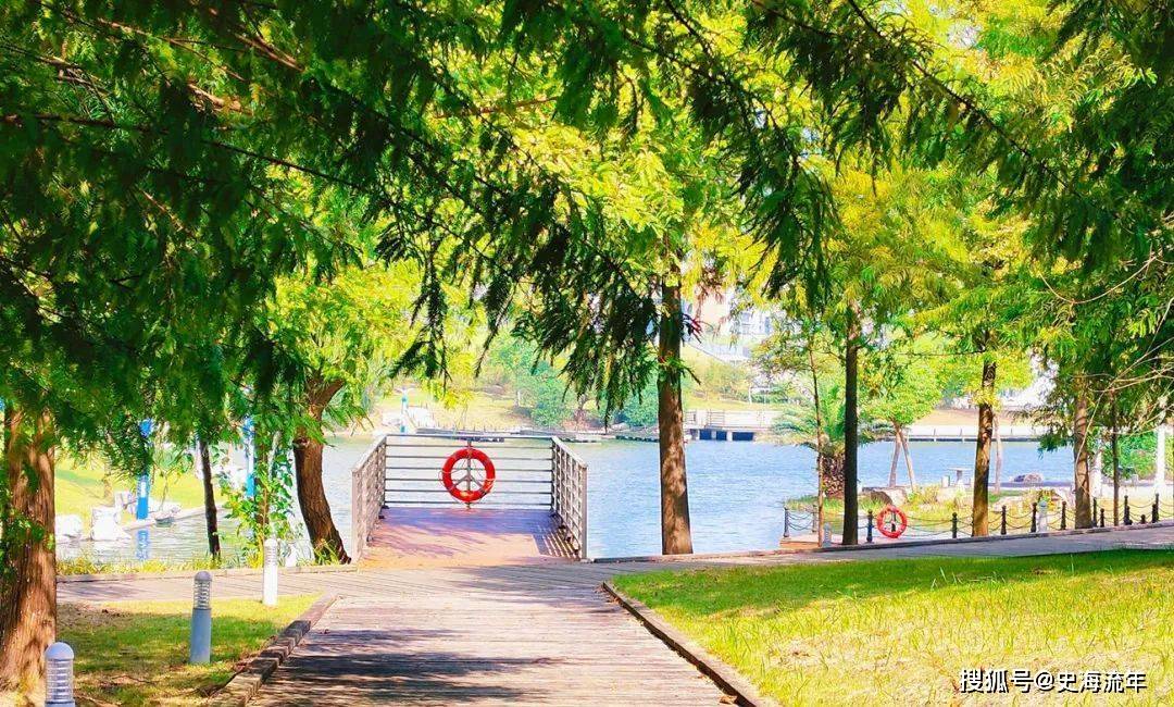 原创            首次突破1000人大关，保研连续五年增长，华东理工保研率出炉-保研人数增加的原因