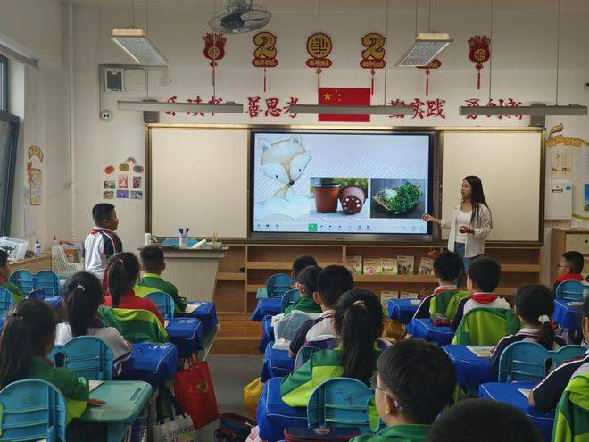 夯实基本功 行稳育人路 | 光明小学开展新入职教师"过关课"活动