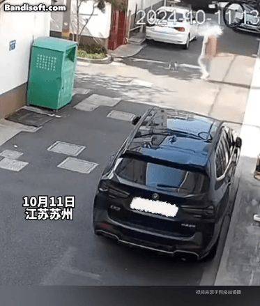 男子佯装撸猫将其摔打致死，现场画面曝光-砸死猫有报应吗