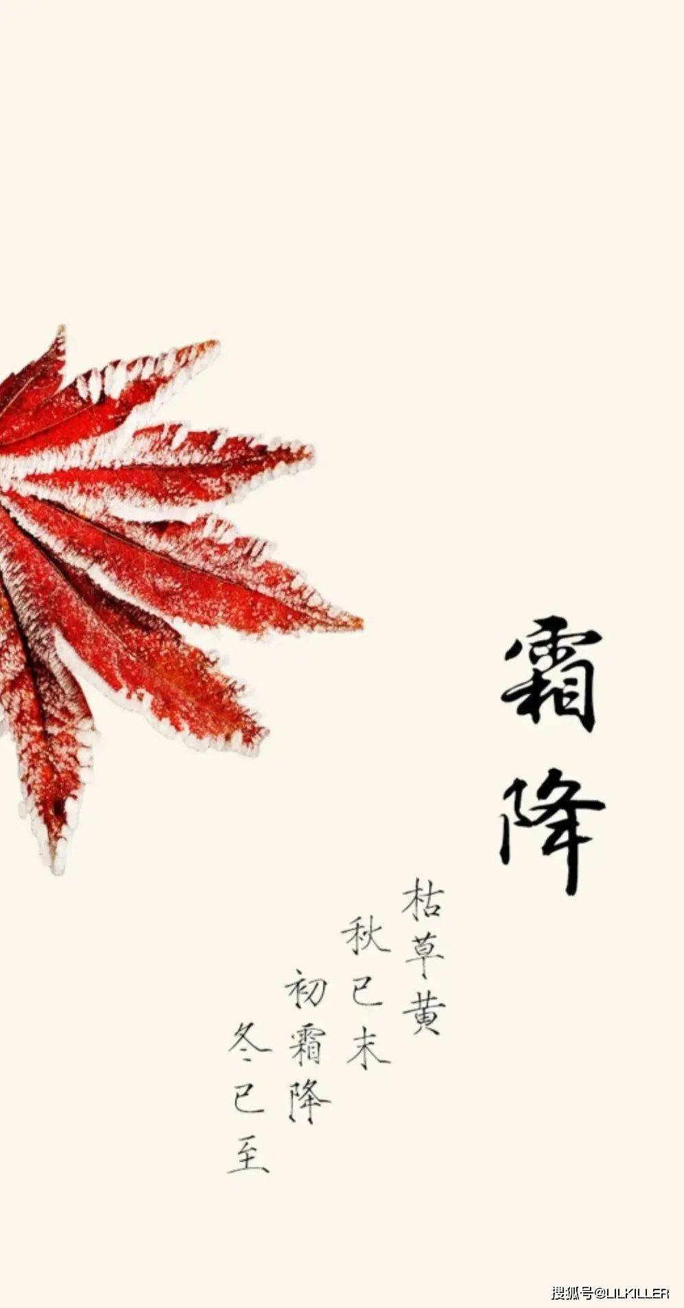 霜降后十二生肖运势(霜降打一动物生肖)