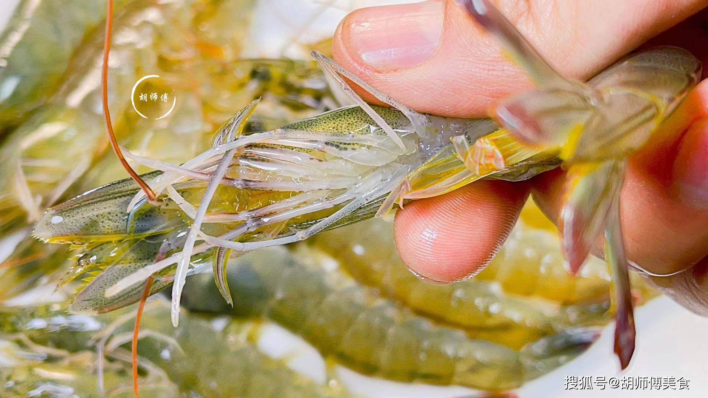 虾有3不吃,看完涨知识了