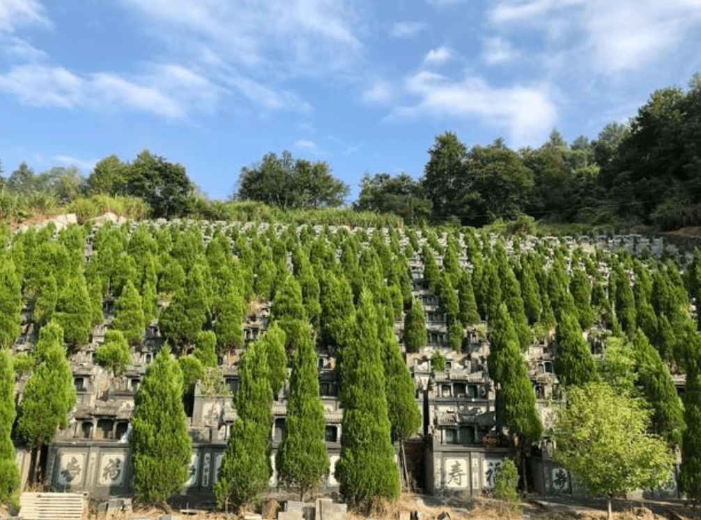 公墓期限只有20年,到期后无人缴费,墓穴费断缴,骨灰如何处理?