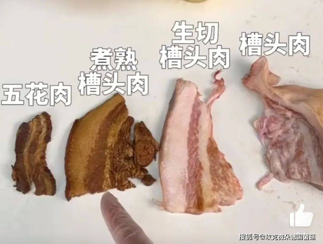 马克塔图姆噬肉菌图片