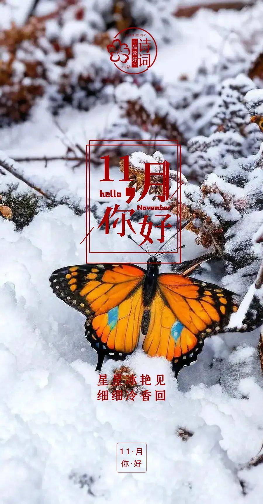 文章配图-2