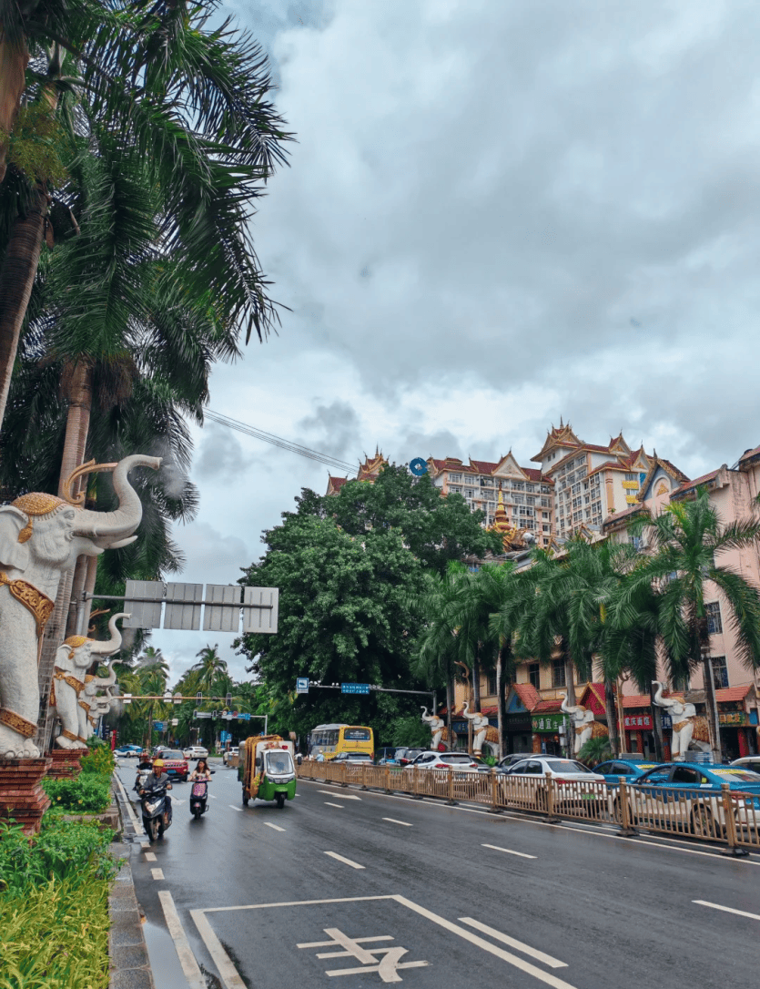 西双版纳绿城春江明月公交线路开始运行,就在家门口,更方便了