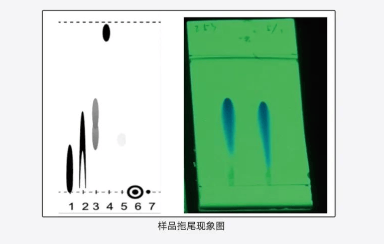 薄层层析结果图图片