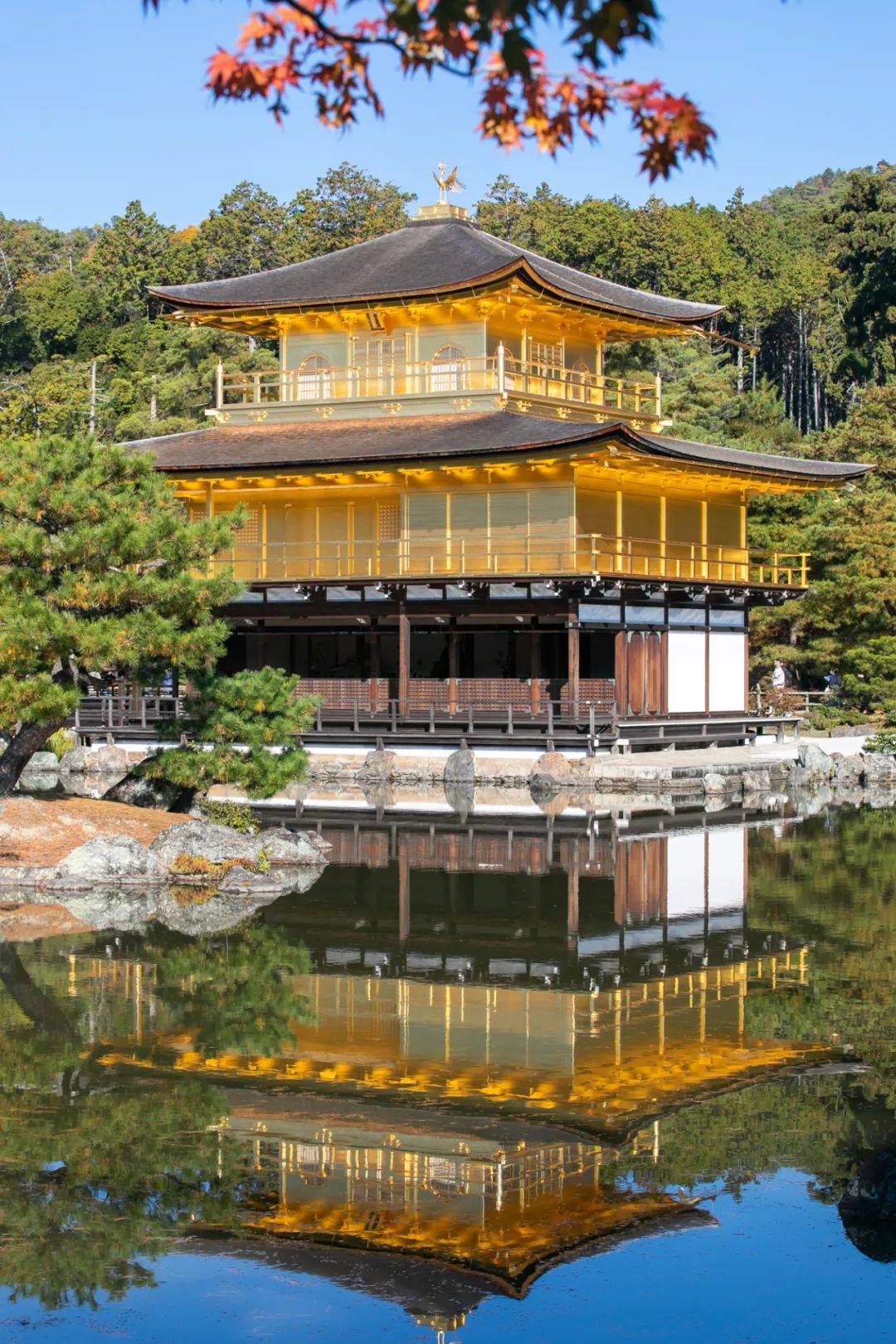 日本金阁寺门票图片