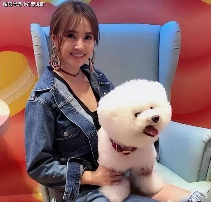 娱乐圈土豪蔡依林,出门必戴天价珠宝,给狗狗买2万名牌外套!