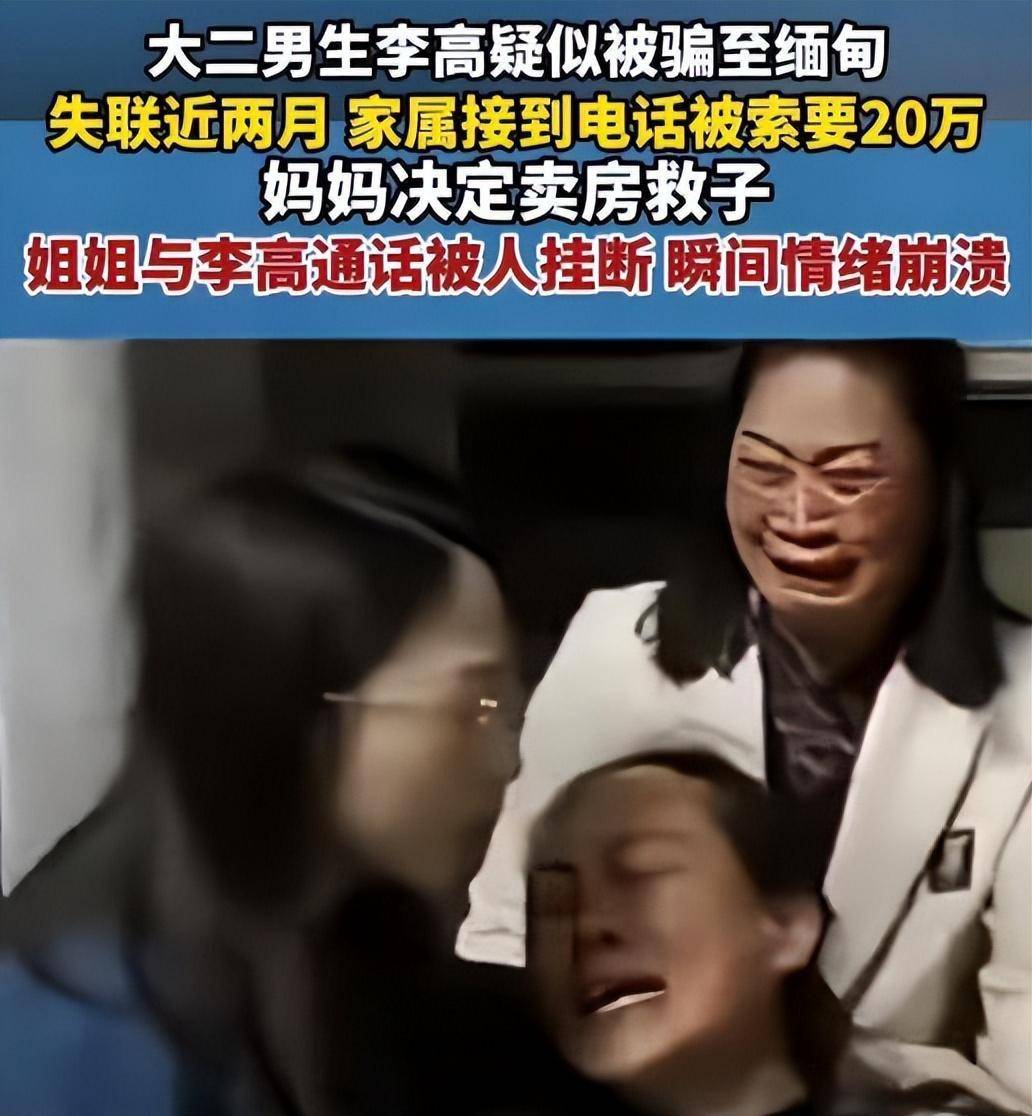 包含天等网站建设价格的词条