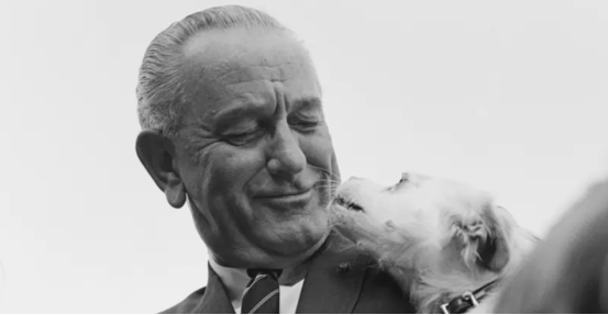 那些入住白宫的宠物们_罗斯福_罗纳德·里根_champ