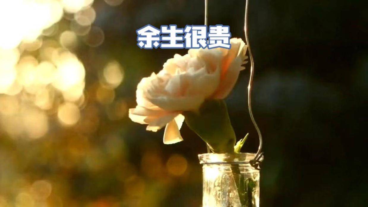 余生很贵,好好爱自己