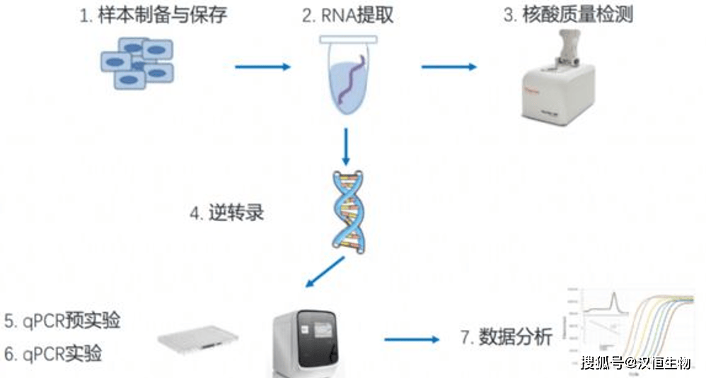 克隆与表达干货3