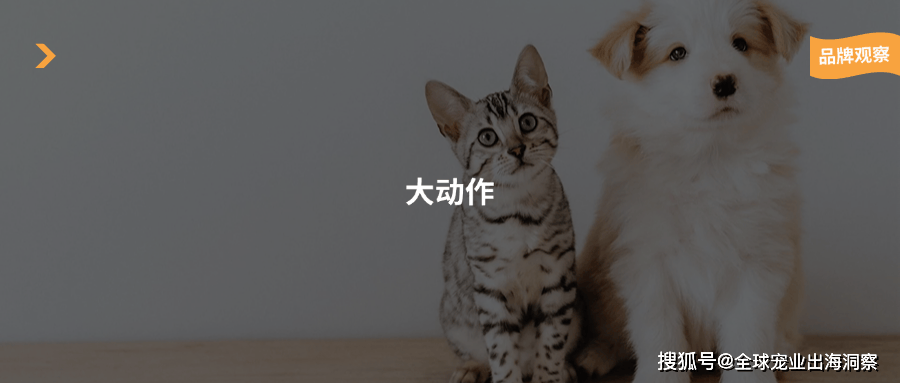 双11卖了近7亿,乖宝宠物又成立3家宠物食品公司_品牌_富迪_上海