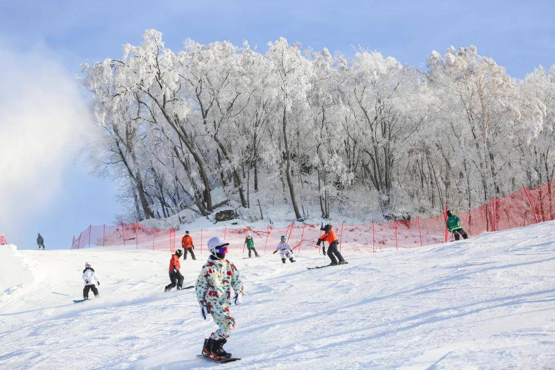 长春南湖公园滑雪圈图片