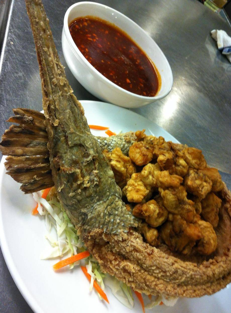 为何美国有人吃鳄雀鳝?到底能不能吃?