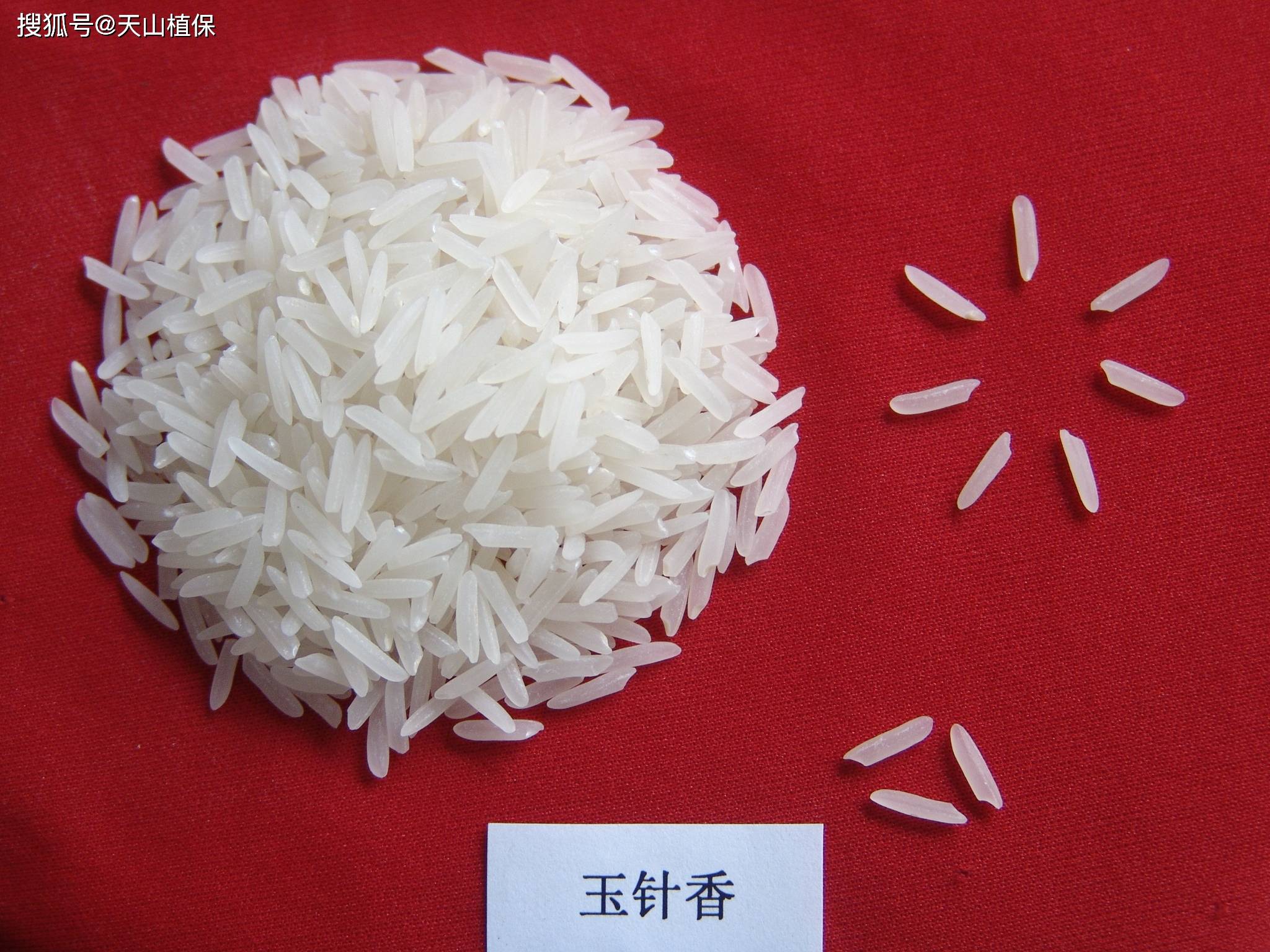 十大顶级香稻品种_大米_五常_德昌