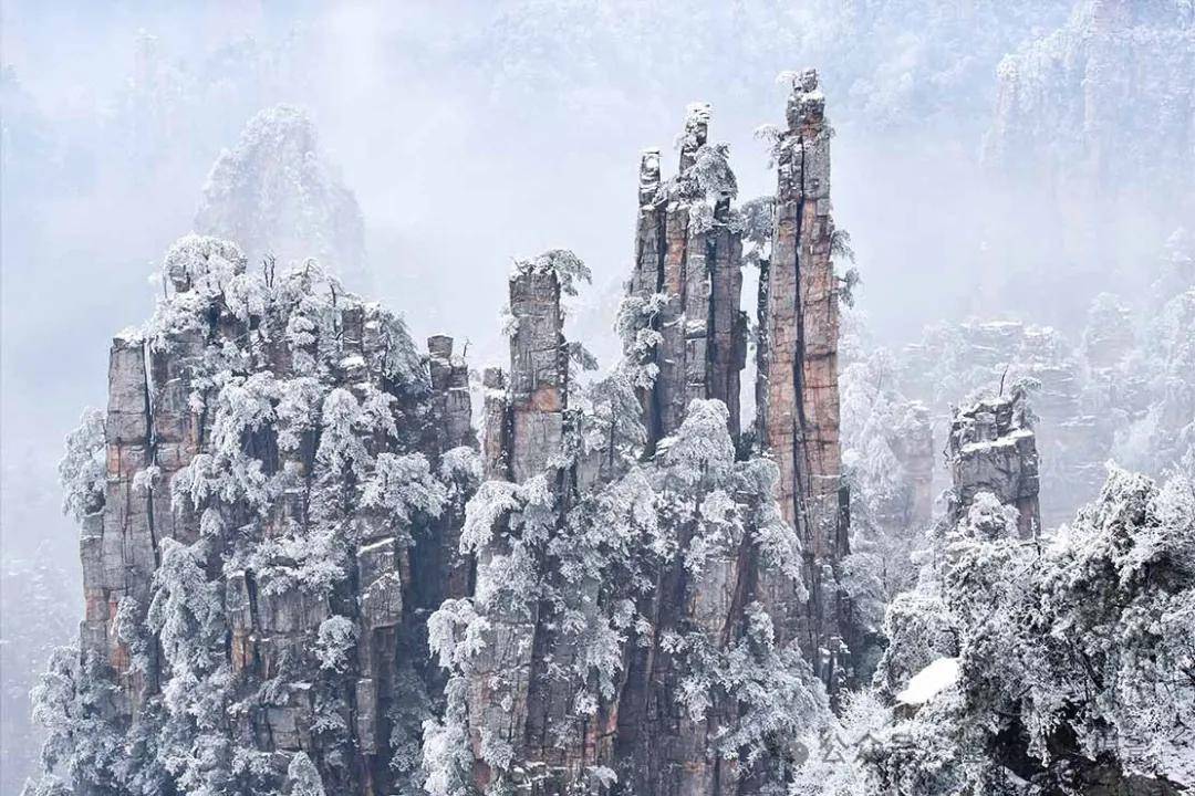 张家界雪景图片天子山图片