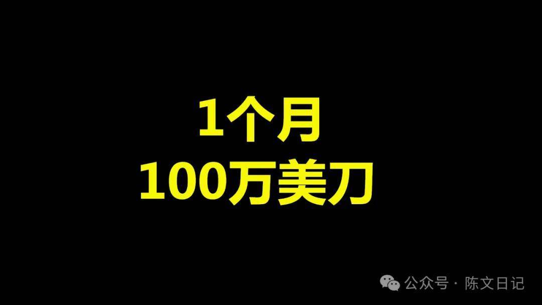 陈文自媒体：海外抖音中视频，1个月100万美刀！