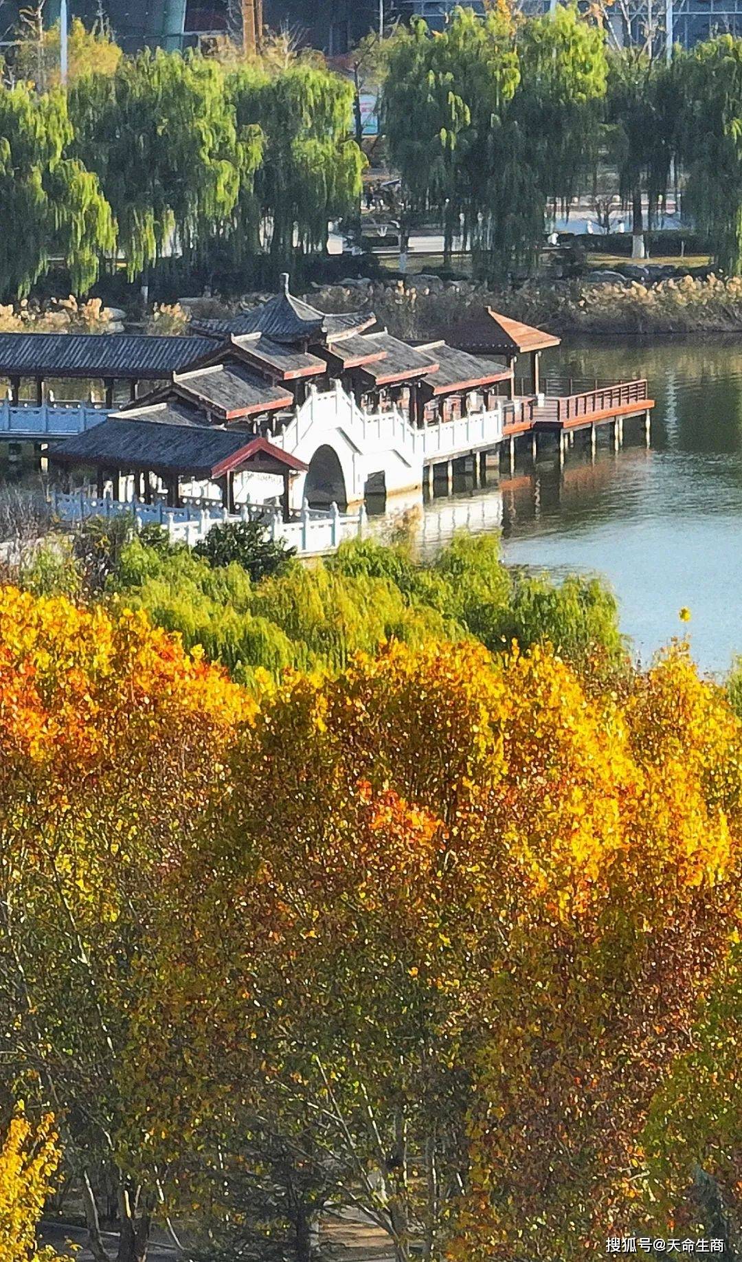 秋末冬初,商丘市日月湖景区藏着限定浪漫