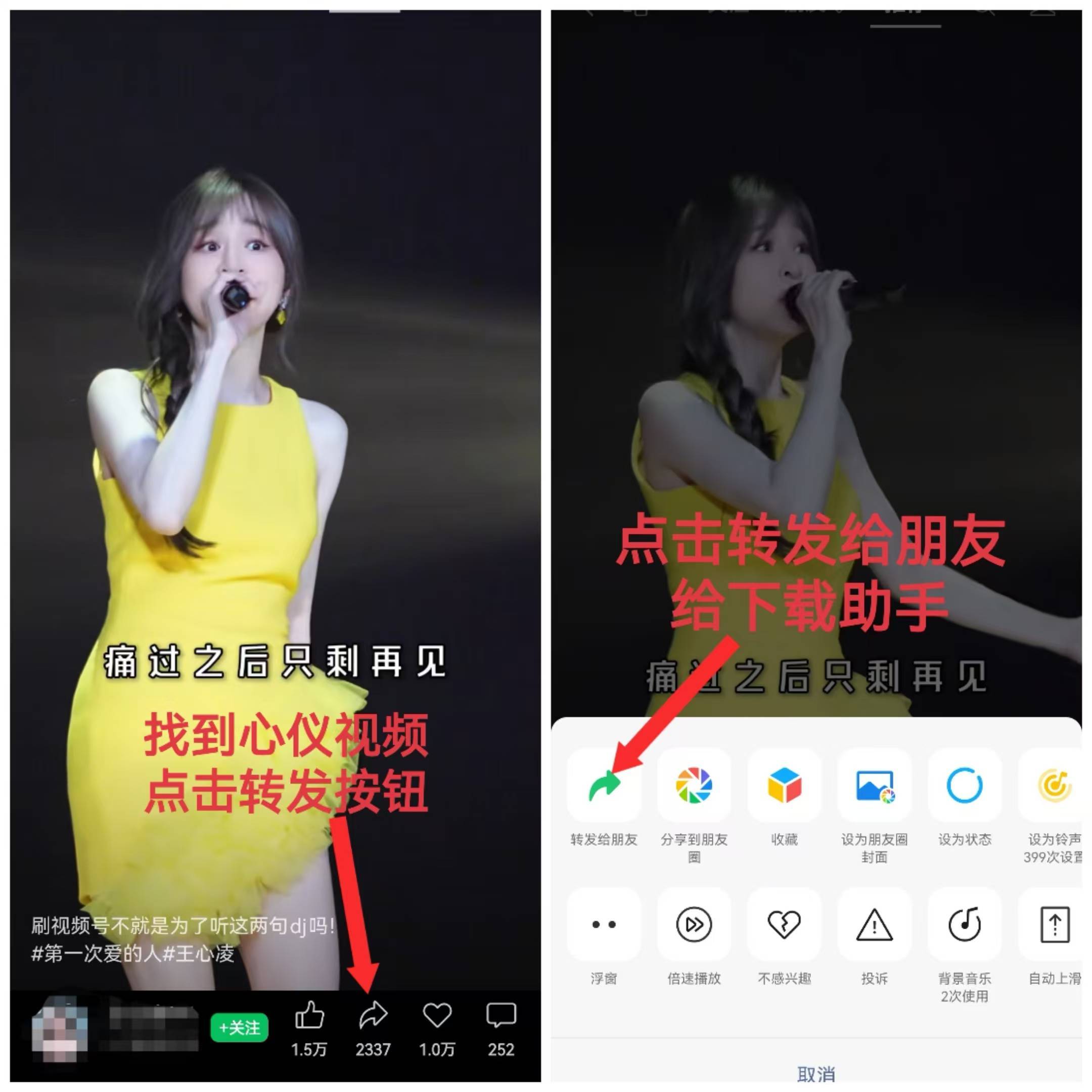 头条号手机电脑版怎么下载视频(头条号手机电脑版怎么下载视频到相册)