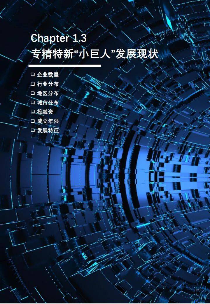 沙利文：2024年专精特新发展情况的报告，专精特新企业发展白皮书