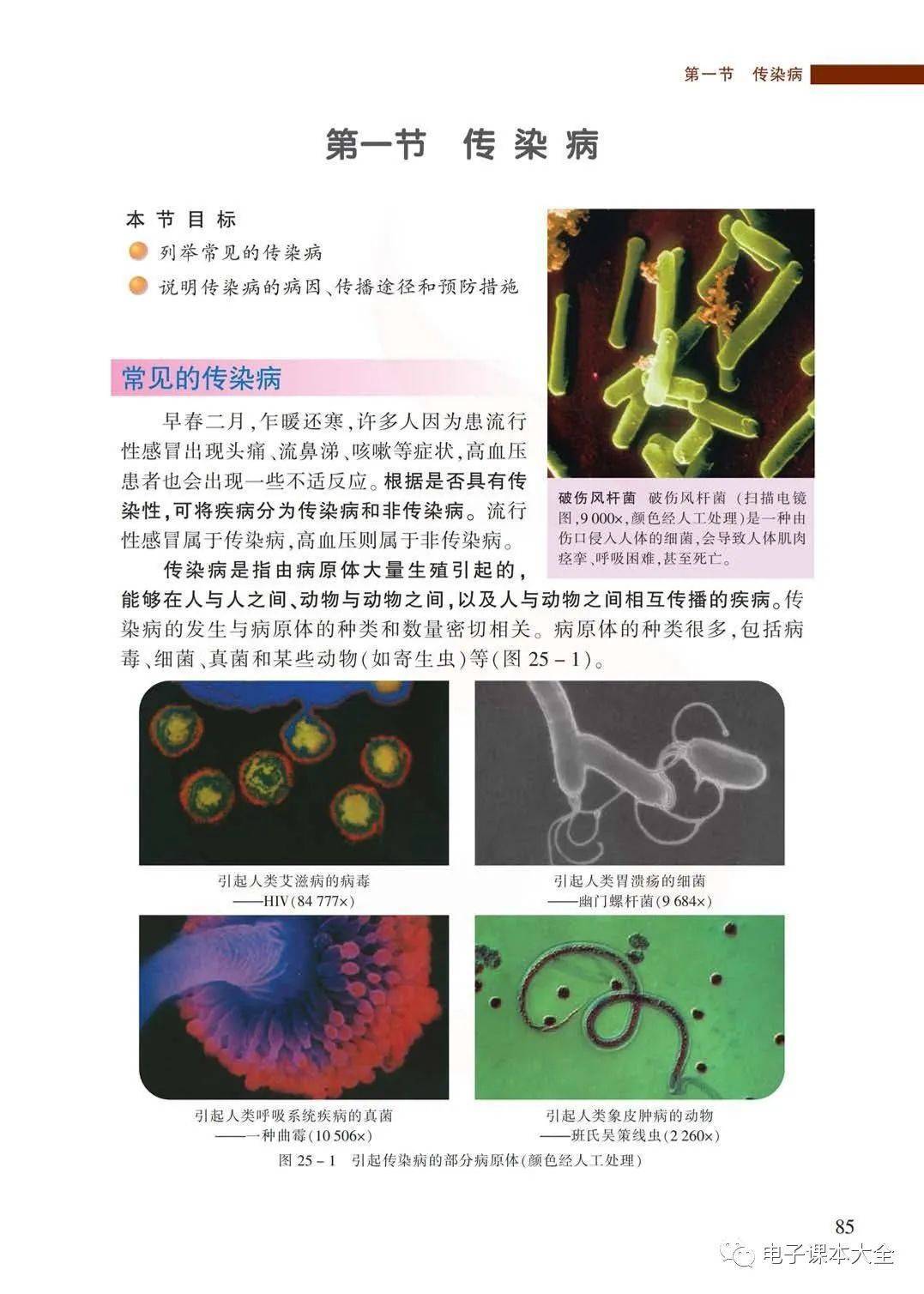 初二生物课本污9页图片