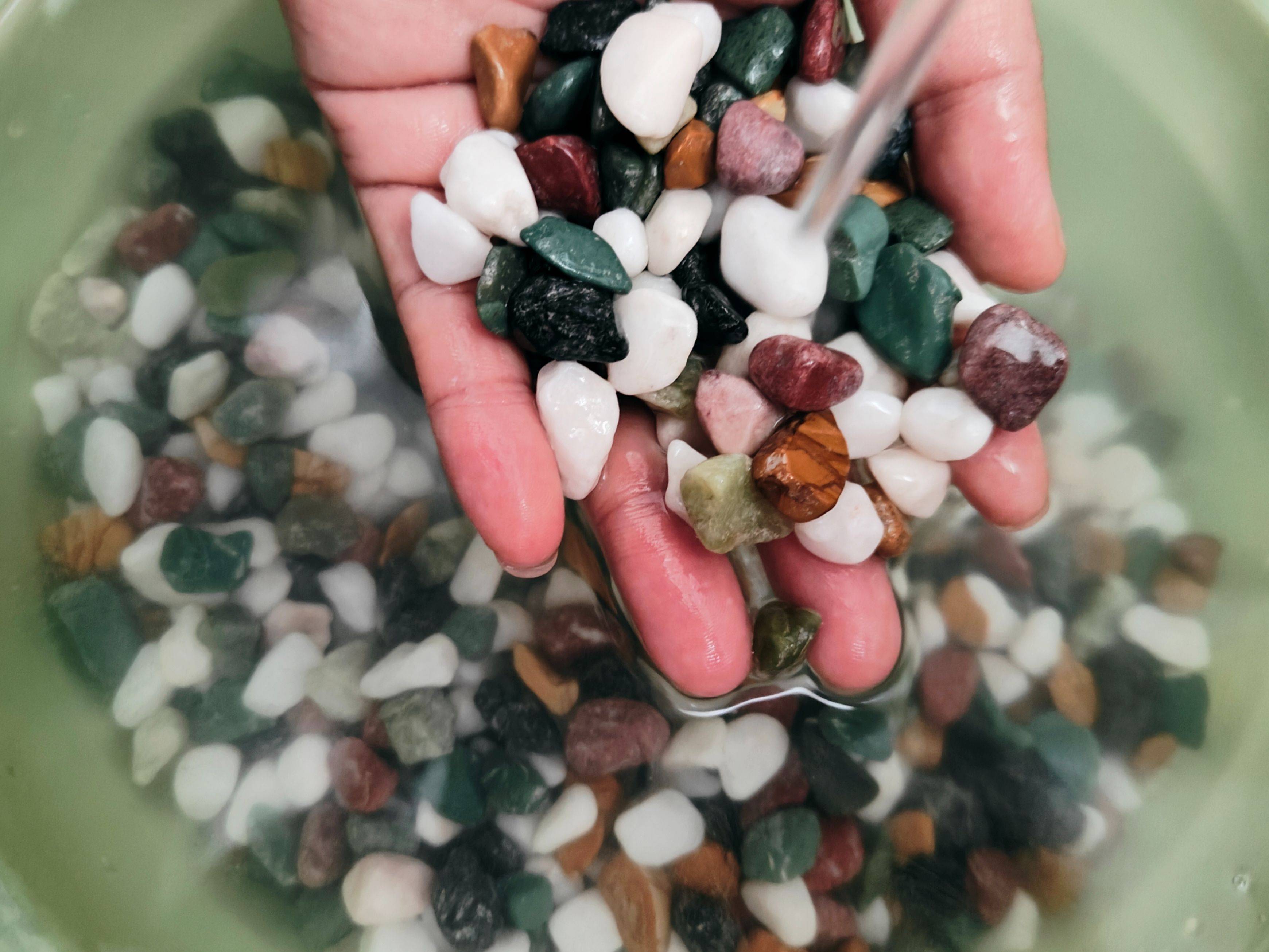 当贝智能鱼缸教你正确养鱼,一键搞定水流和投喂,养鱼如“摸鱼”一样轻松简单