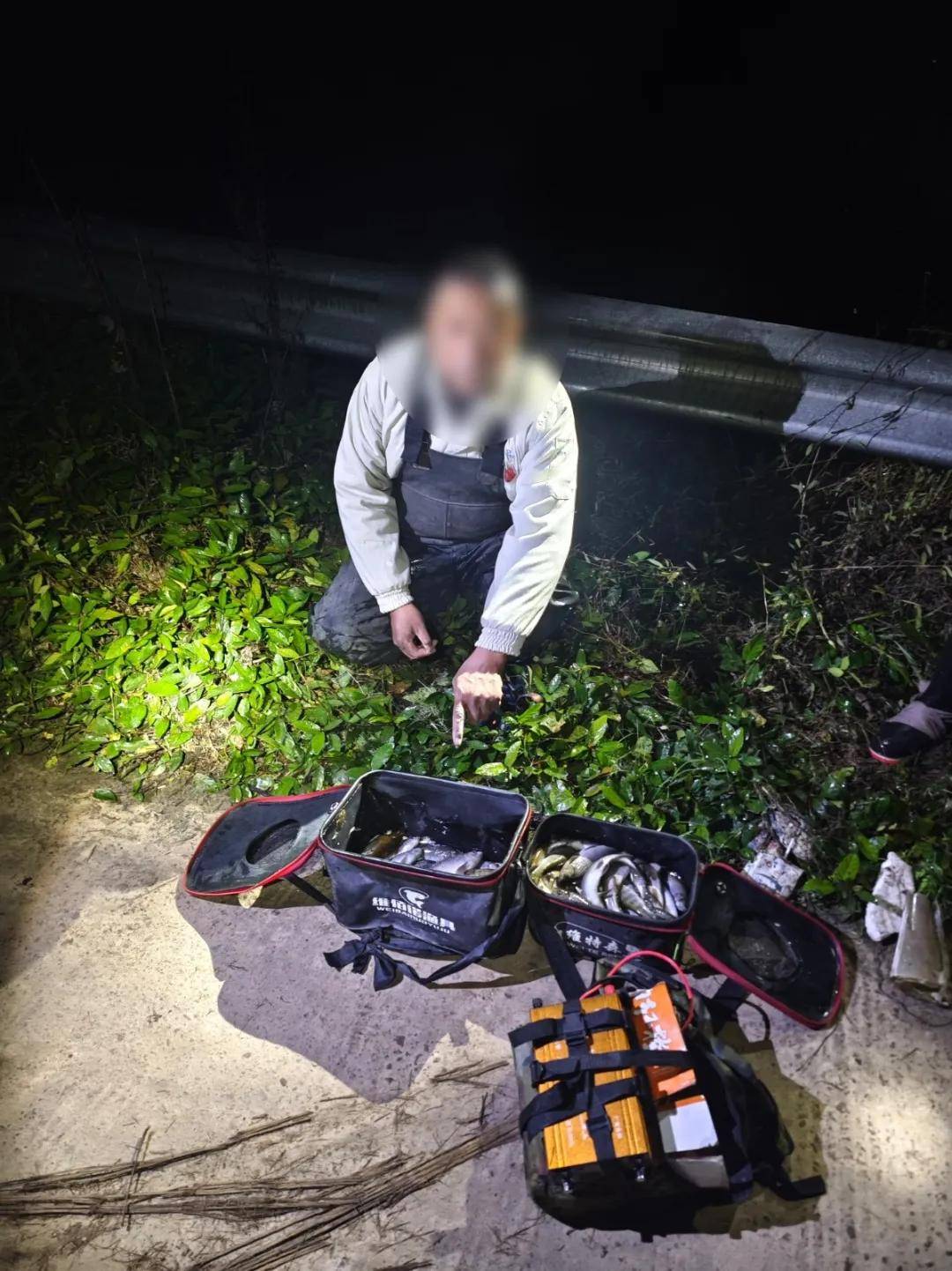 电鱼留不留案底