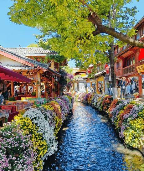 云南旅游纯玩本地团五天四晚,云南旅游五日游旅游纯玩团路线,攻略分享_前往_石林_文化