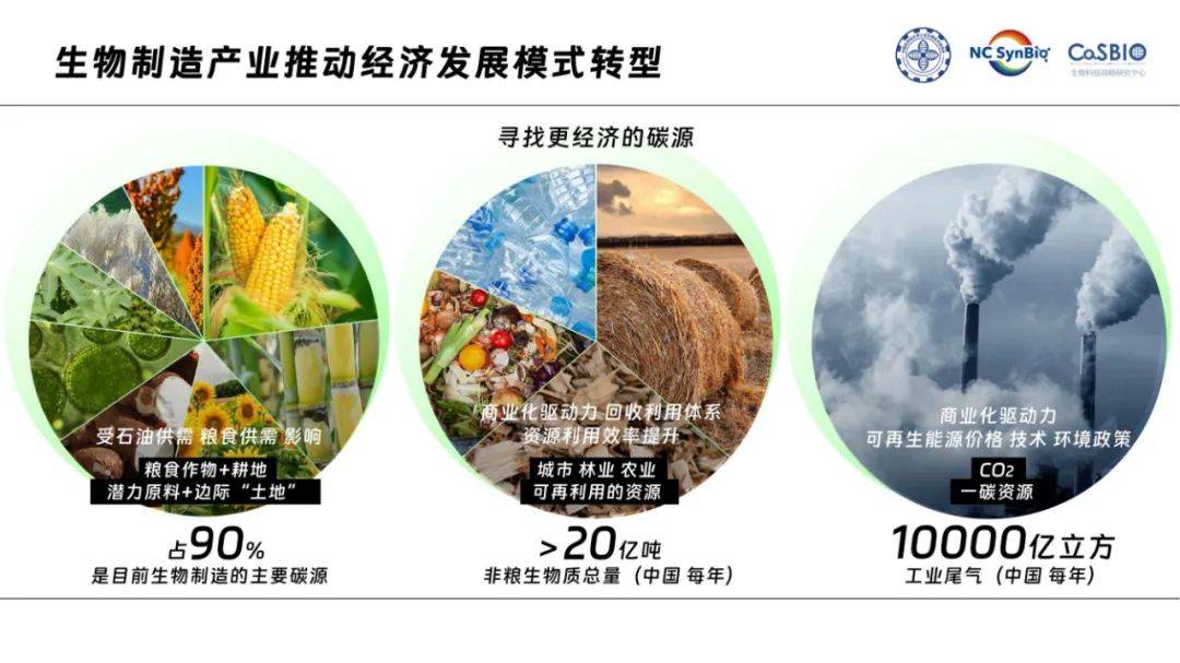 2024年中国工业生物技术发展白皮书，工业生物技术的发展现状分析