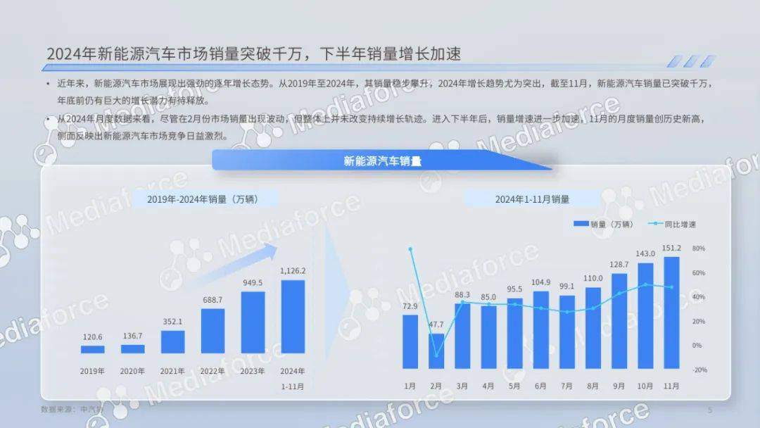 百分点：2024年新能源汽车价格消费者分析，新能源汽车消费者洞察