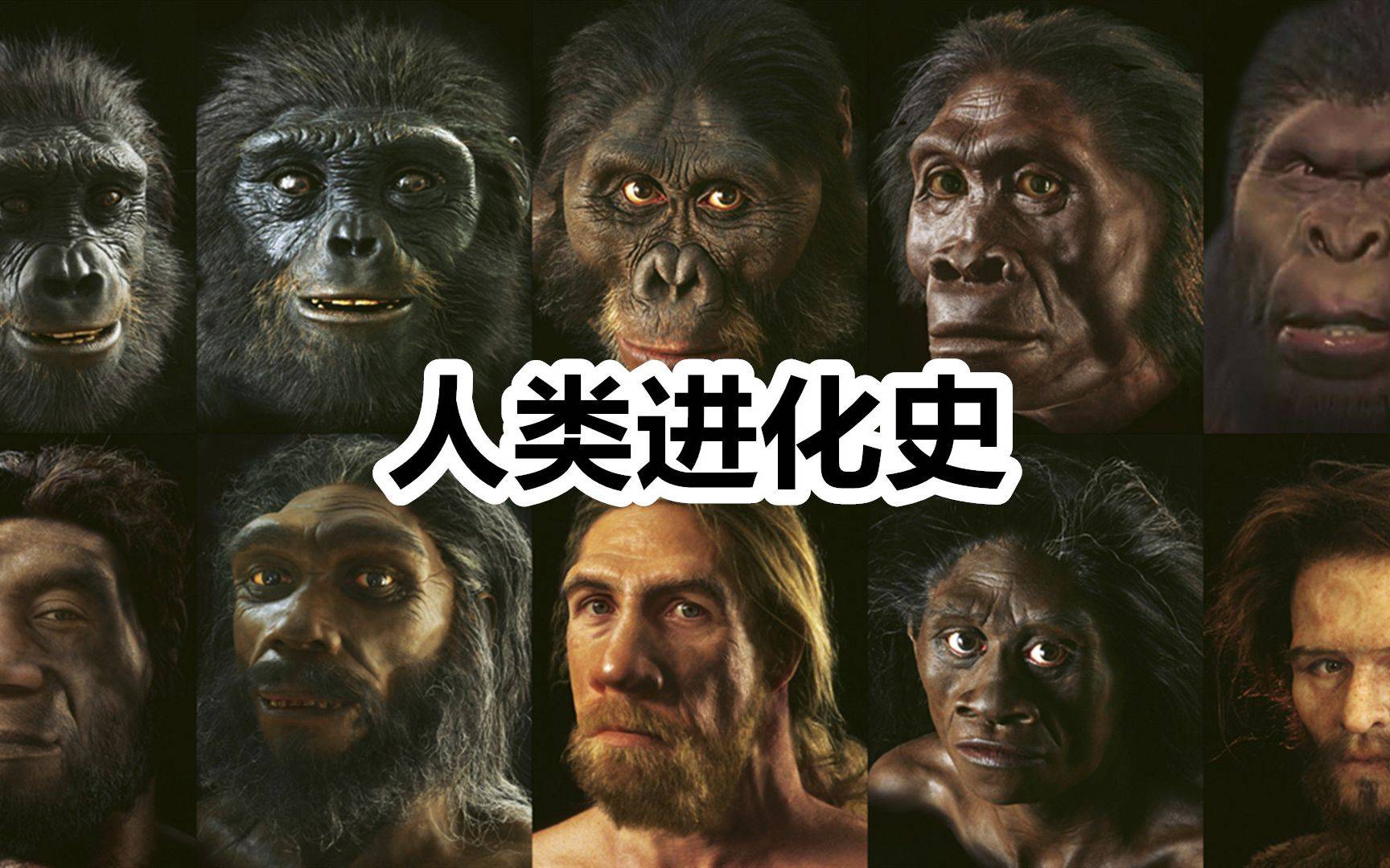 人类比猿类少两条染色体,难道人类是不是猿进化的吗?