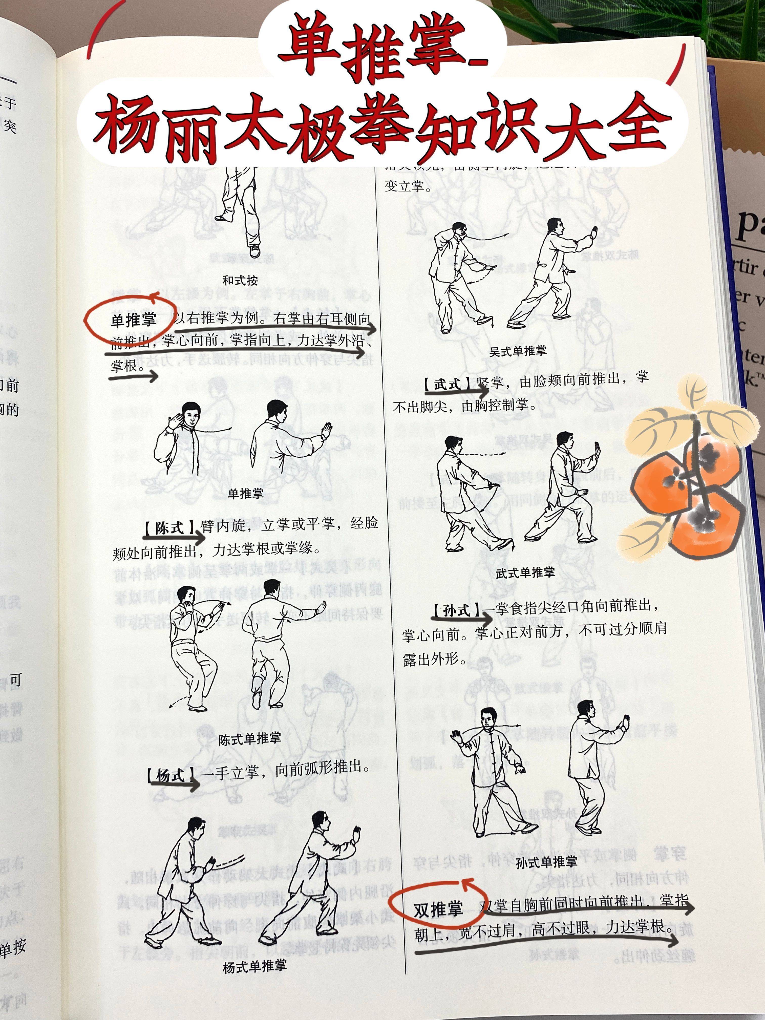养生太极掌第三套正面教学(养生太极掌第三套教学分解正面示范演练)