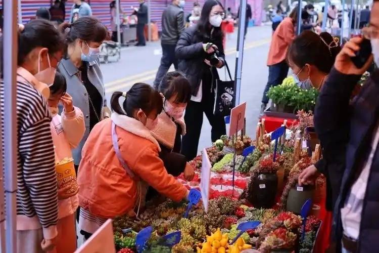 过年去哪儿度假？暖和便宜的精选地