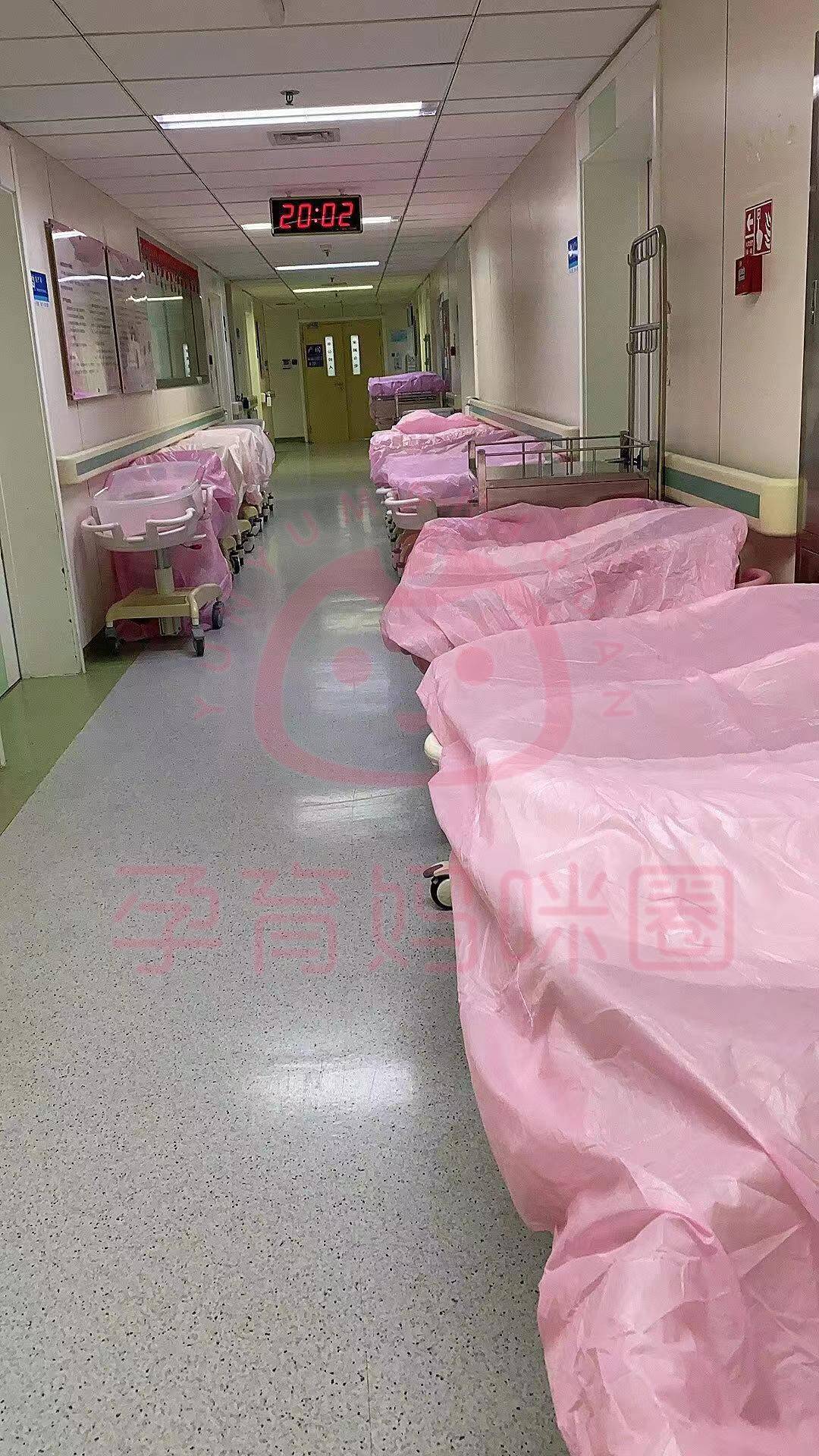 關于北京安貞醫院、護士全程協助陪同代幫掛號，服務好速度快的信息