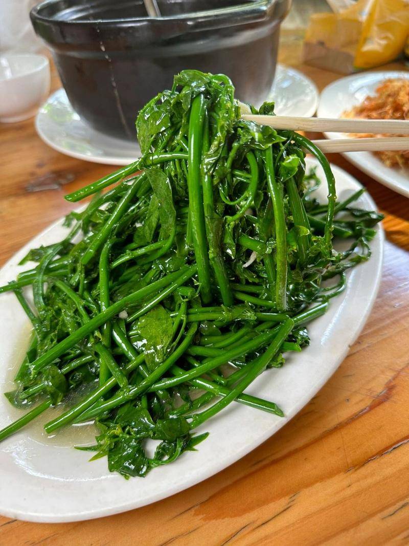 五指山野菜