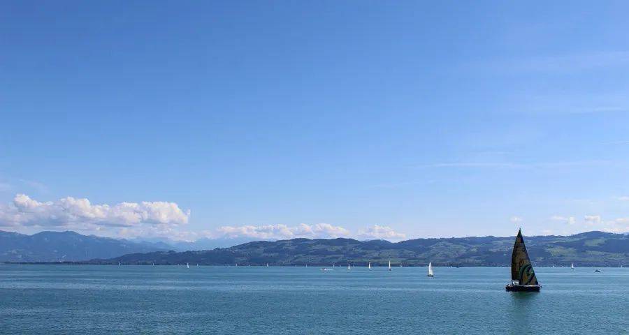 拼低价今年正遭遇部分家电厂商的抛弃-家电圈官网