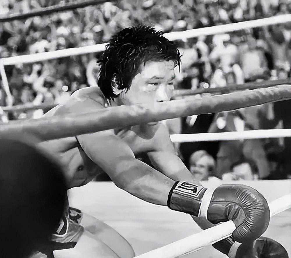 职业拳击回归15回合：安全困境仍存？_搜狐网